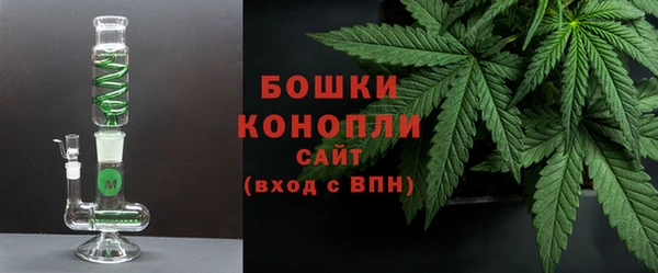 ПСИЛОЦИБИНОВЫЕ ГРИБЫ Арсеньев