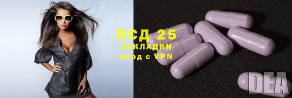прущие крисы Аркадак