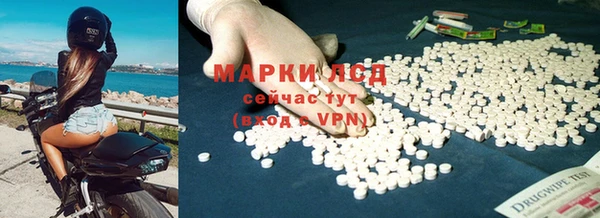прущие крисы Аркадак